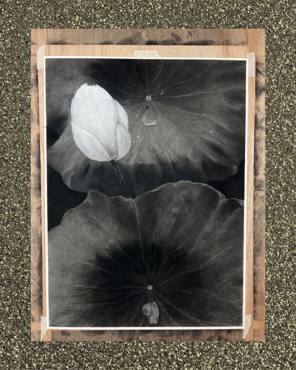 연꽃의 바람_목탄&콩테