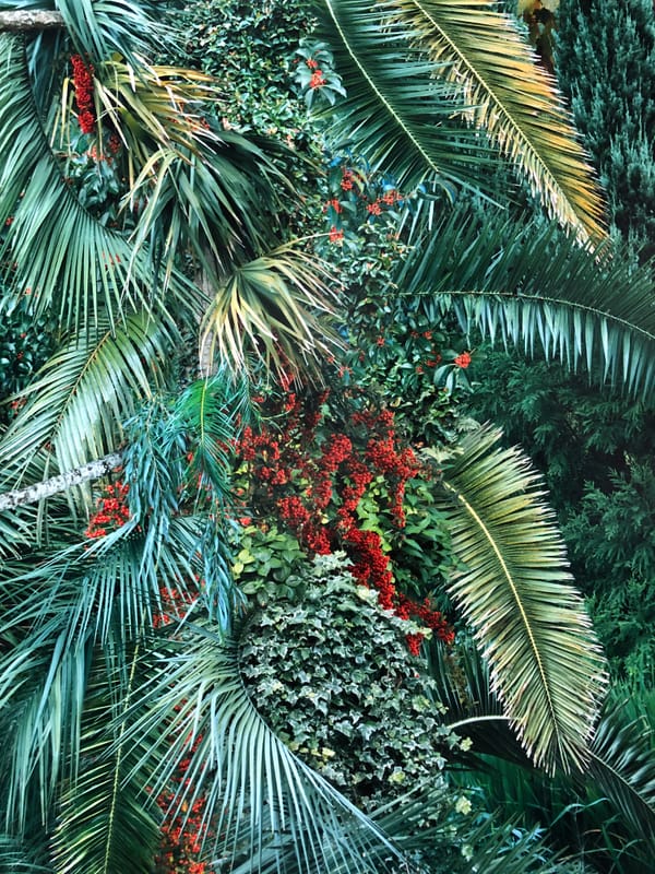 원성원_아라리오갤러리 [아트렉처 연재 23]